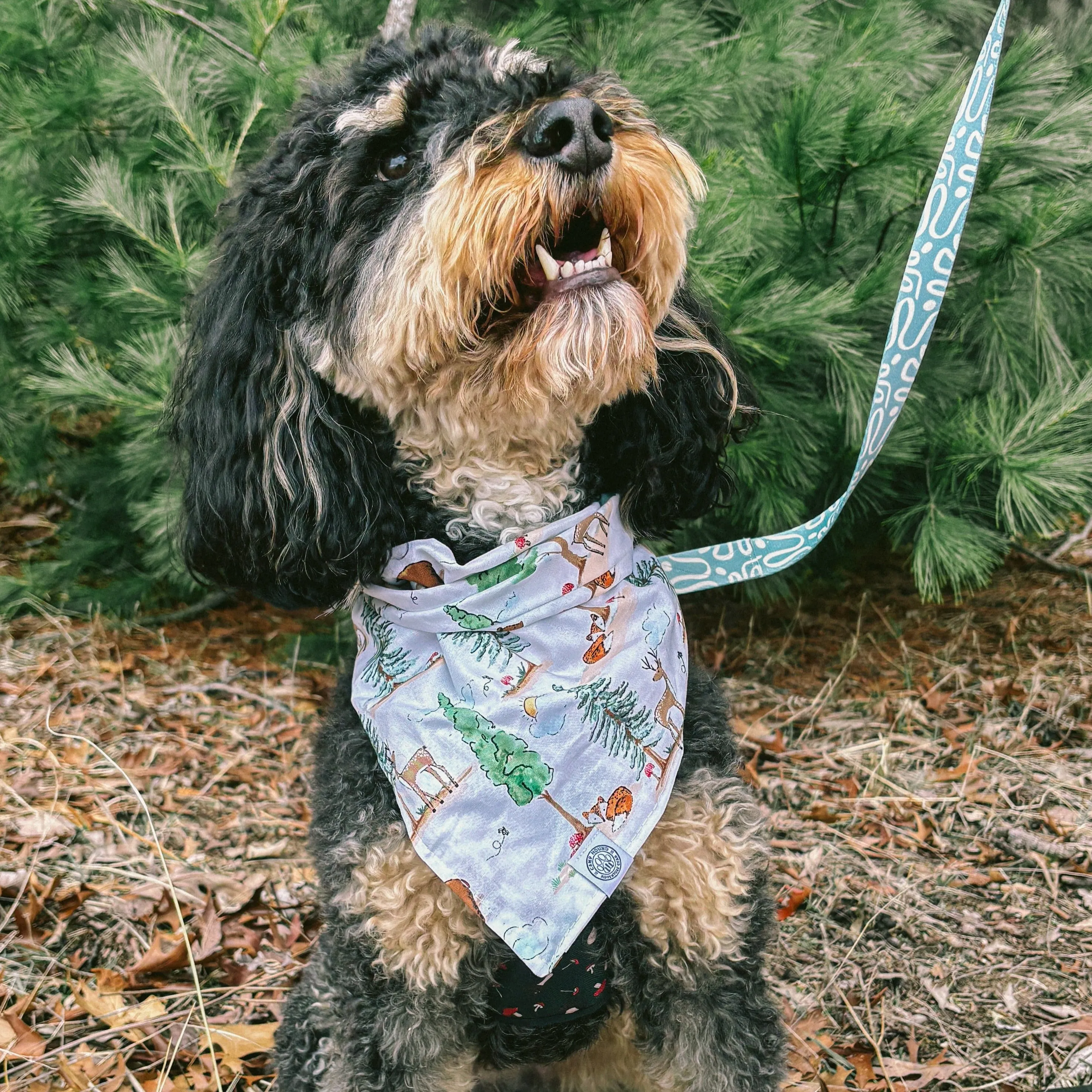 Forest Bandana