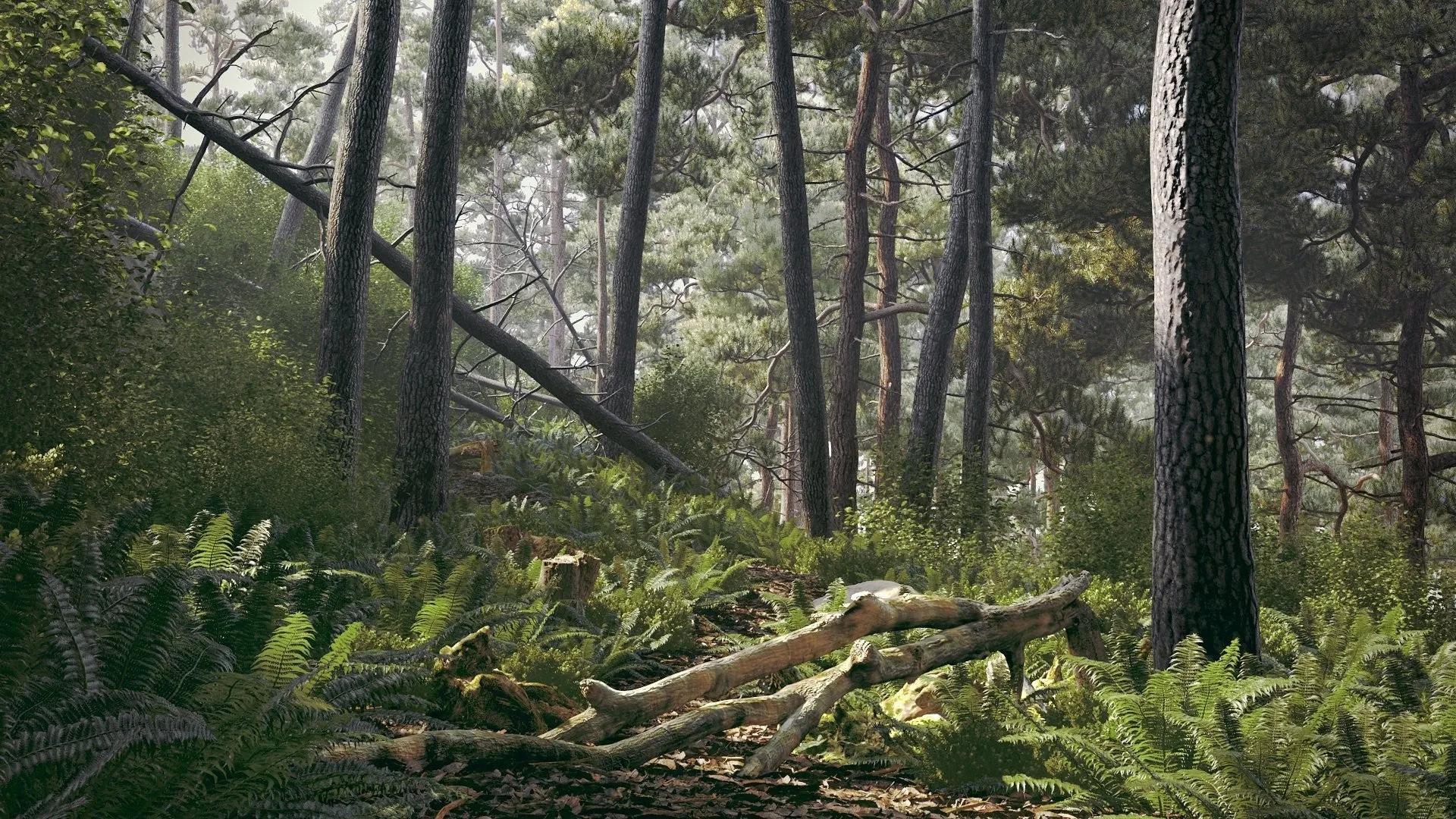 Forest Bundle vol. 1 (Evermotion 3D Models) - Architectural Visualizations