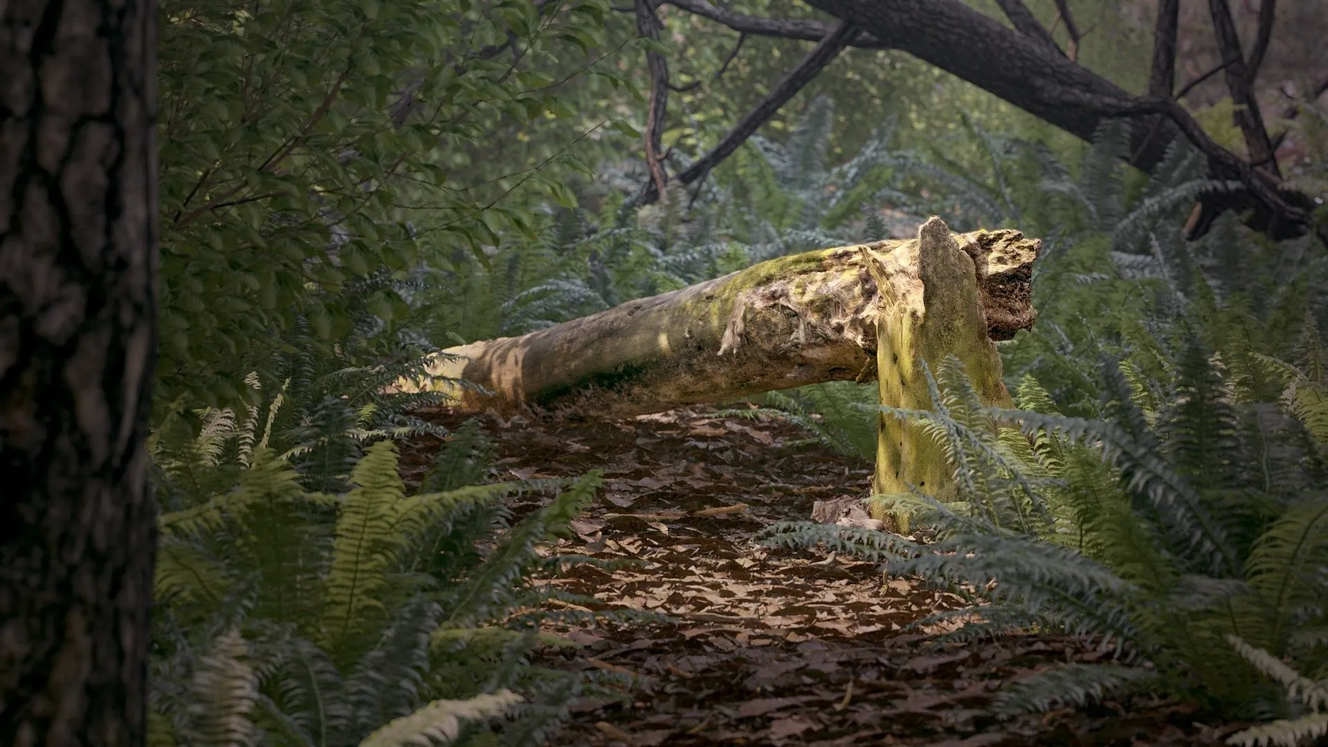 Forest Bundle vol. 1 (Evermotion 3D Models) - Architectural Visualizations