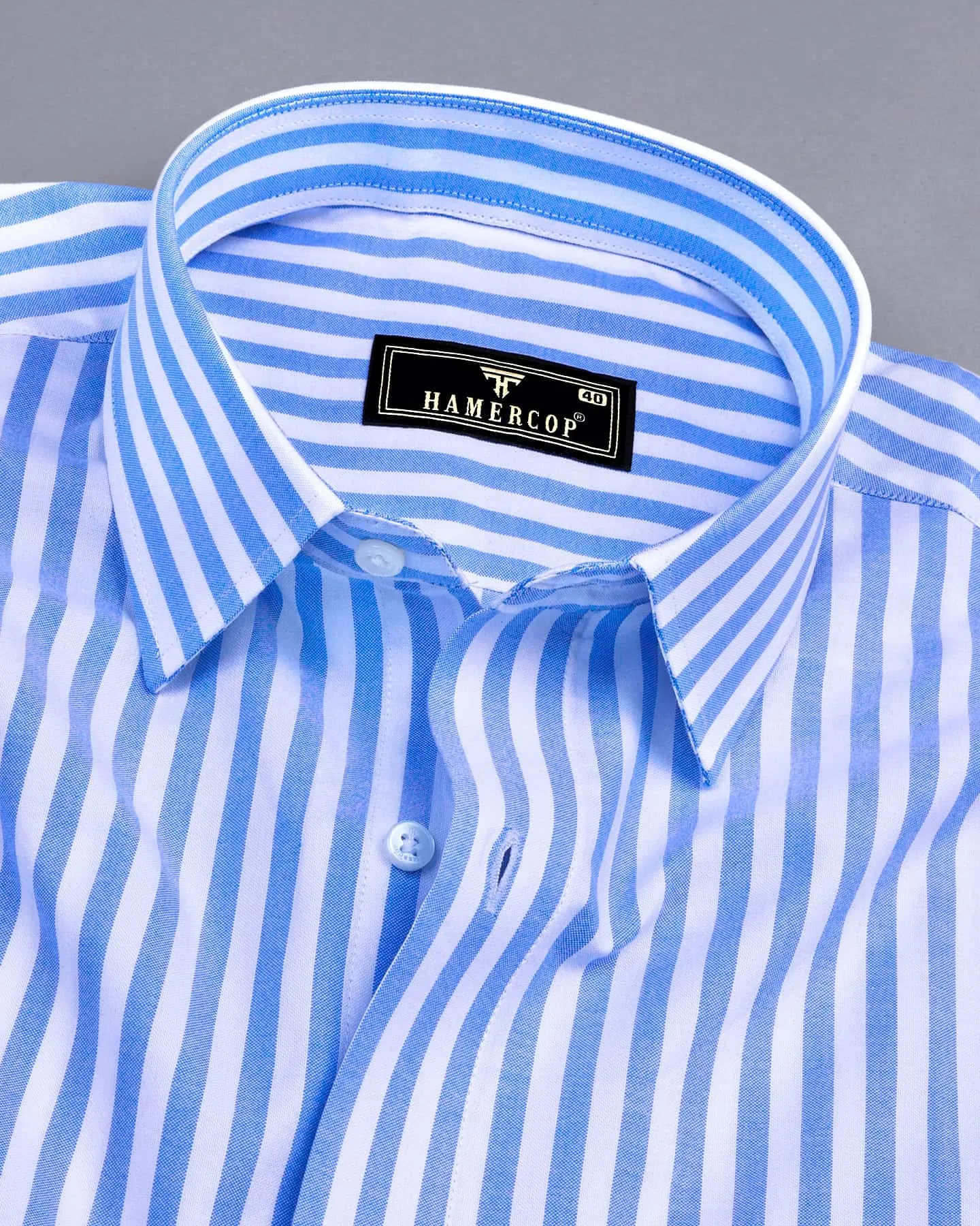 Torcello Blue With White Stripe Oxford Cotton Formal Shirt